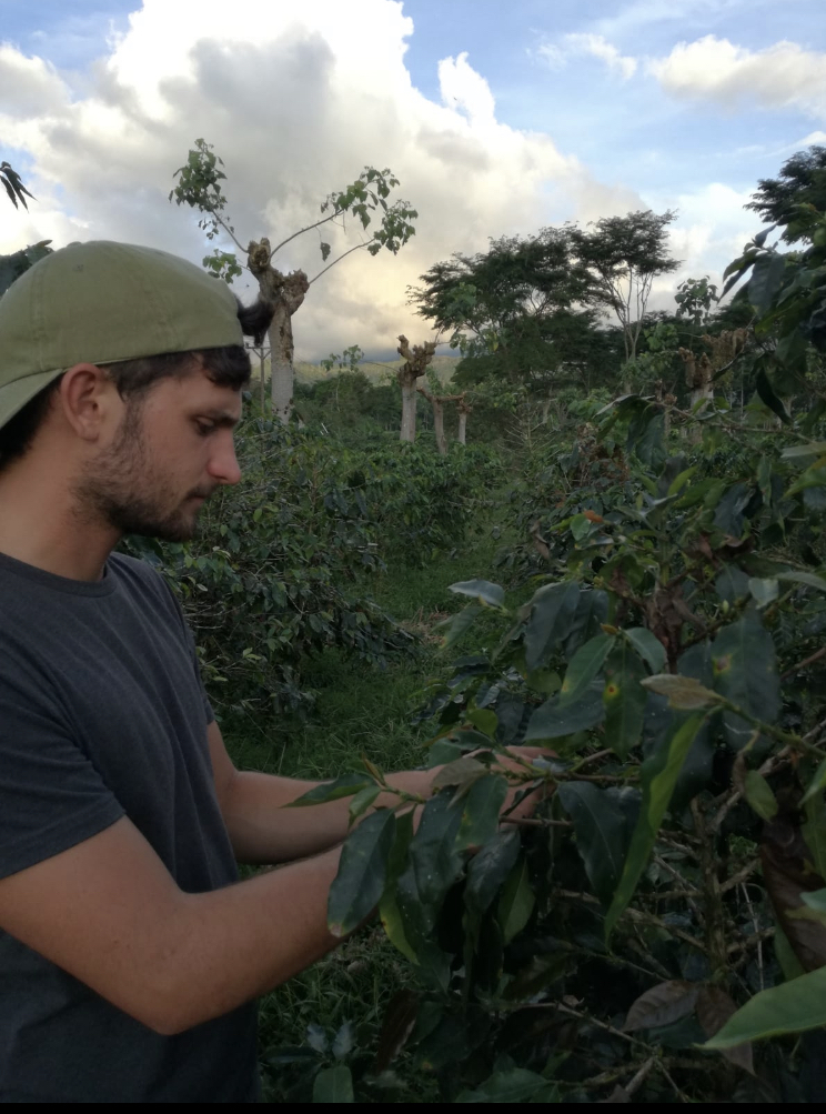 Goingdutch collaborates with HAS University. Learn about our advice for studying at the best universities in the Netherlands.